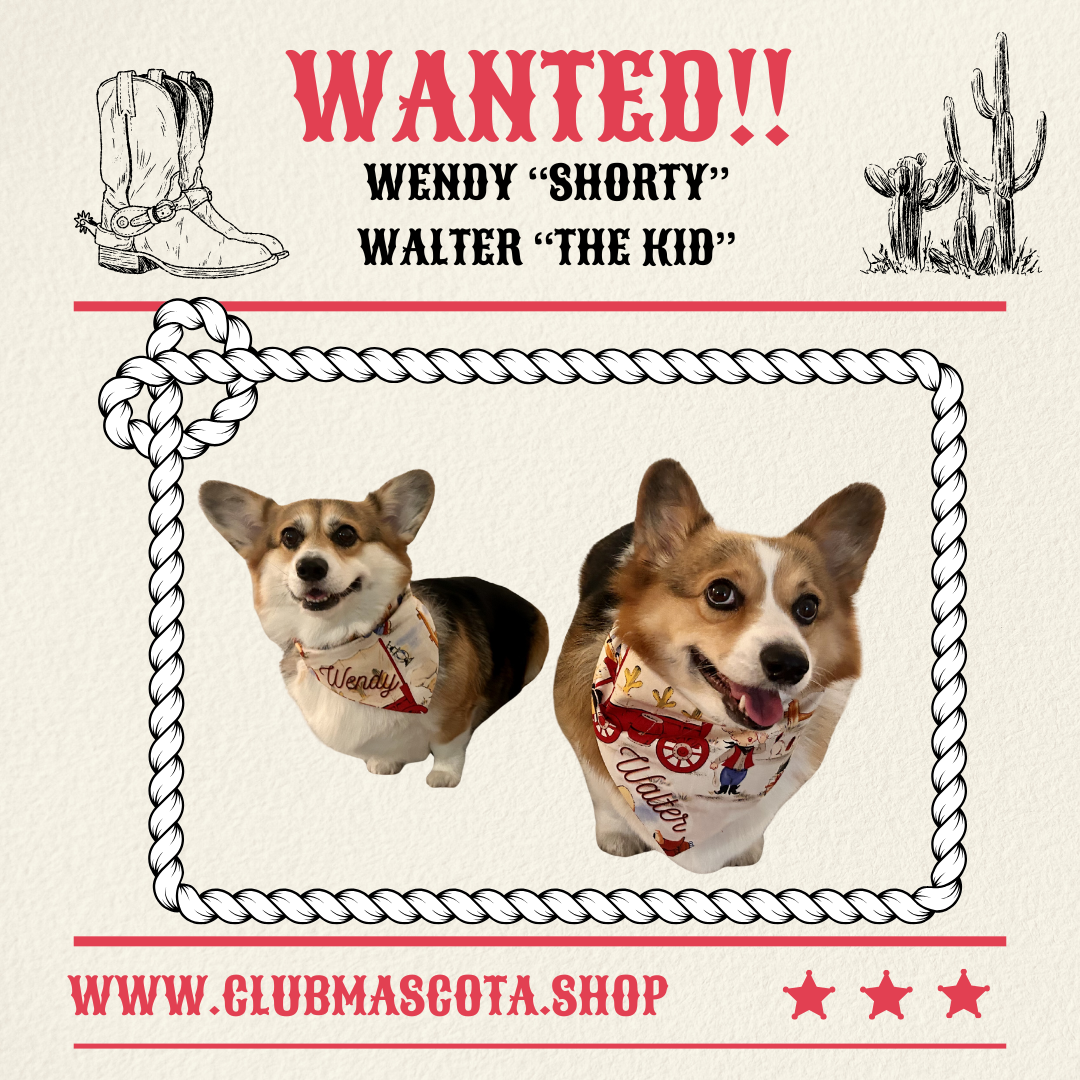 Wild West Bandanas