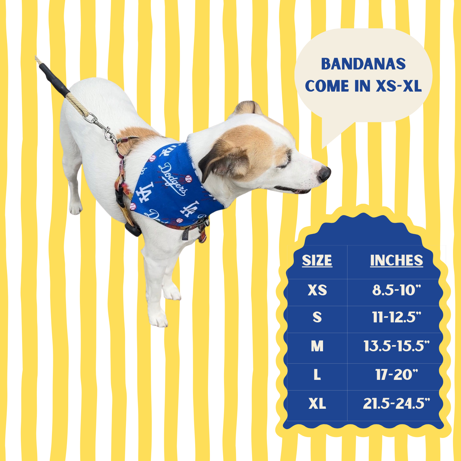 Dodger Theme Bandana