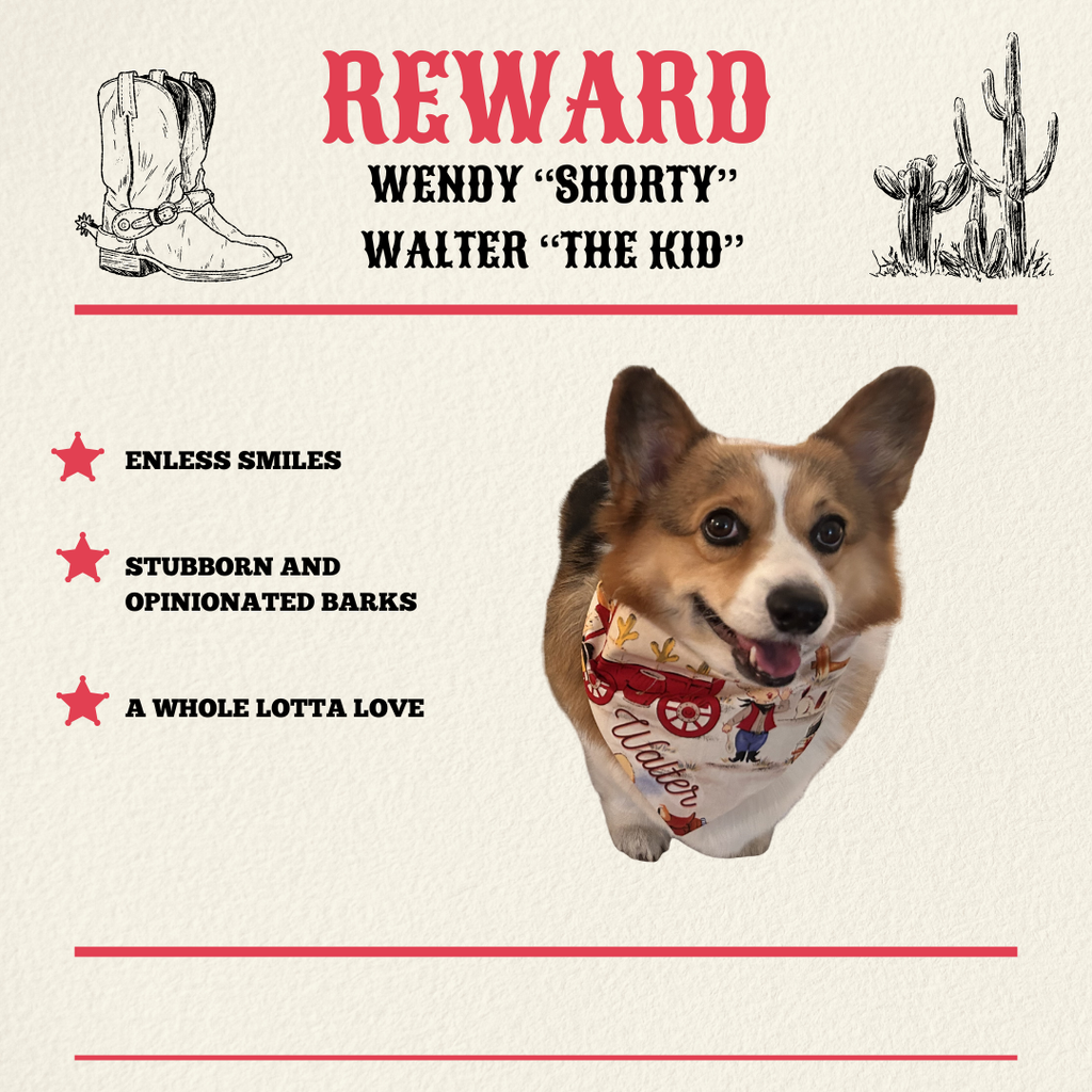 Wild West Bandanas