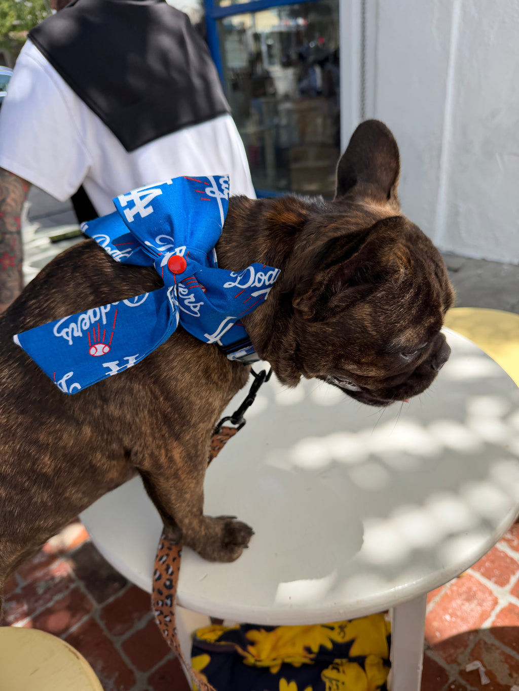 Dodgers Sailor Bow and Collar