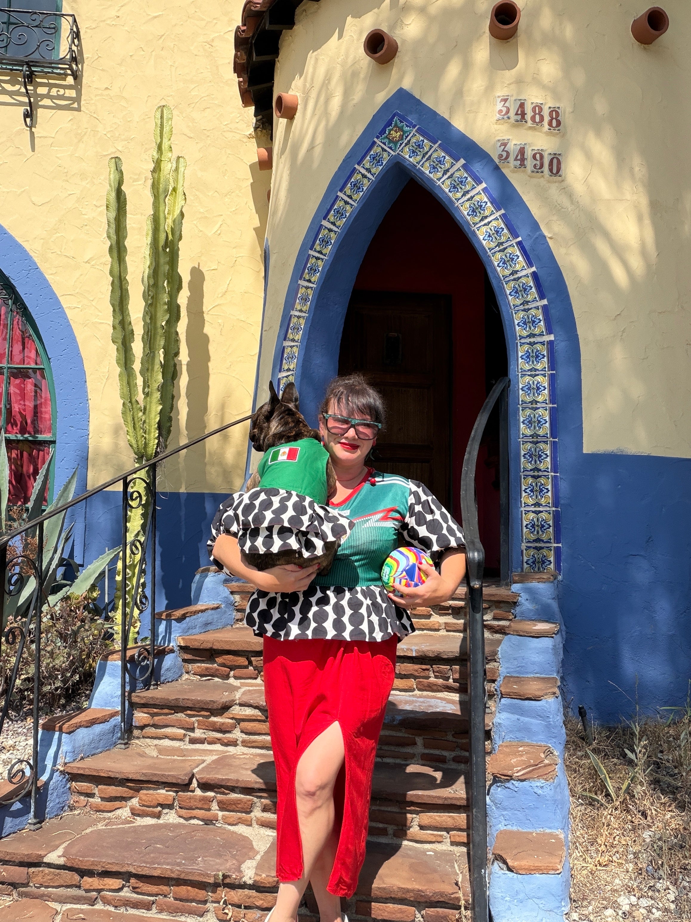 Mexico World Cup Dog Dress