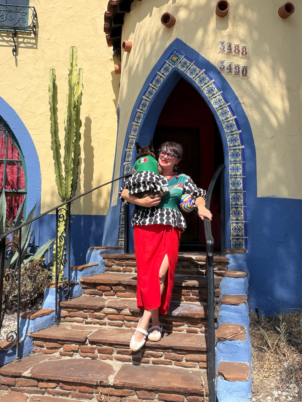 Mexico World Cup Dog Dress