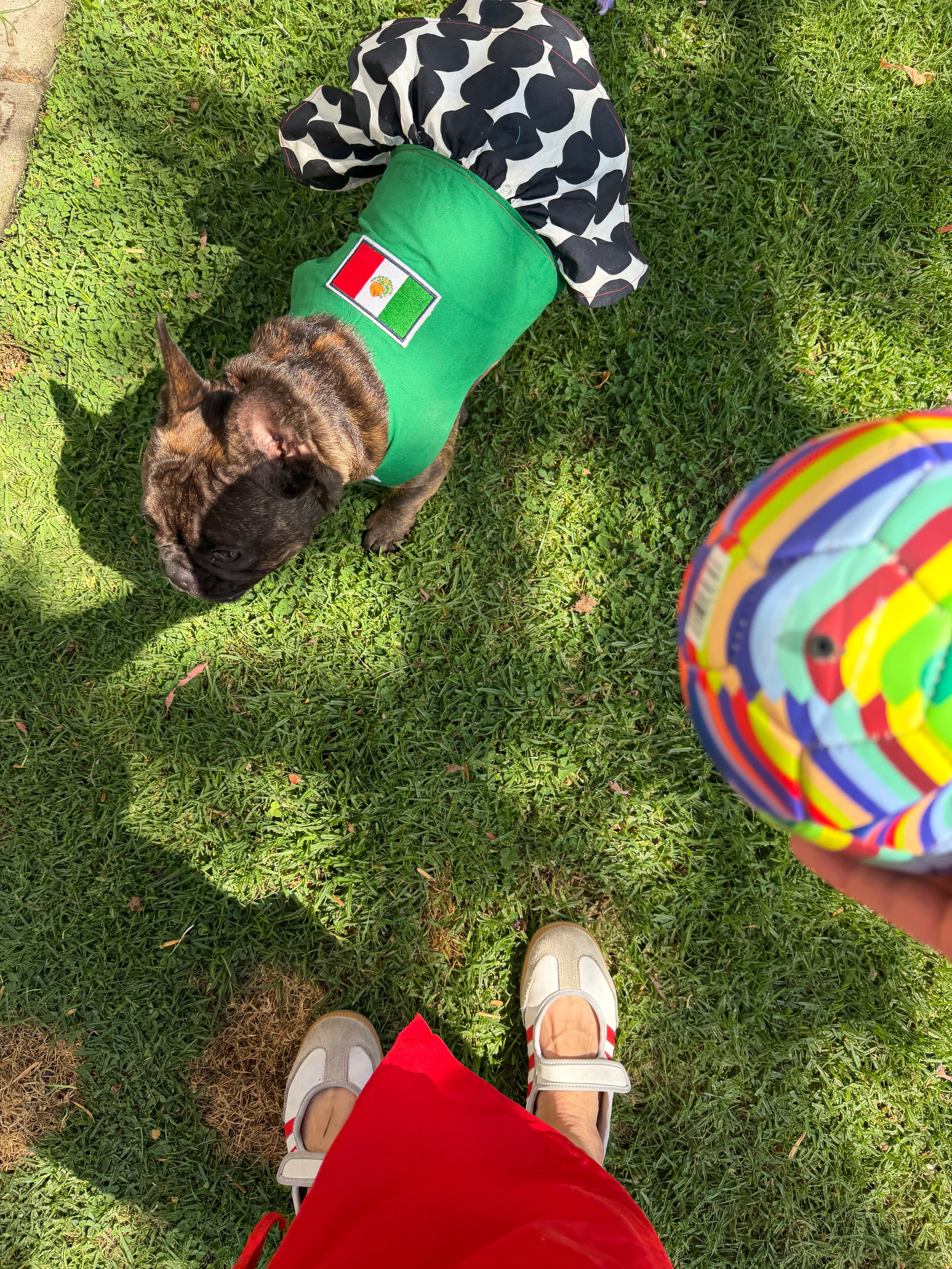 Mexico World Cup Dog Dress