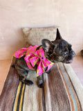 Cha Cha Dress in Pretty In Pink Cheetah Print
