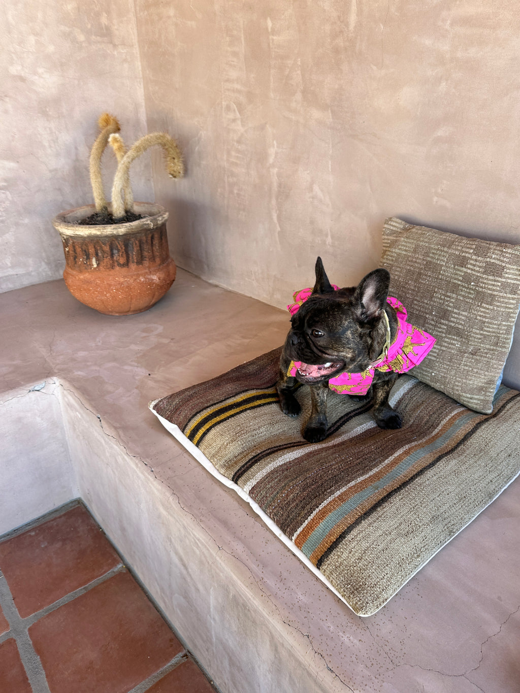 Cha Cha Dress in Pretty In Pink Cheetah Print