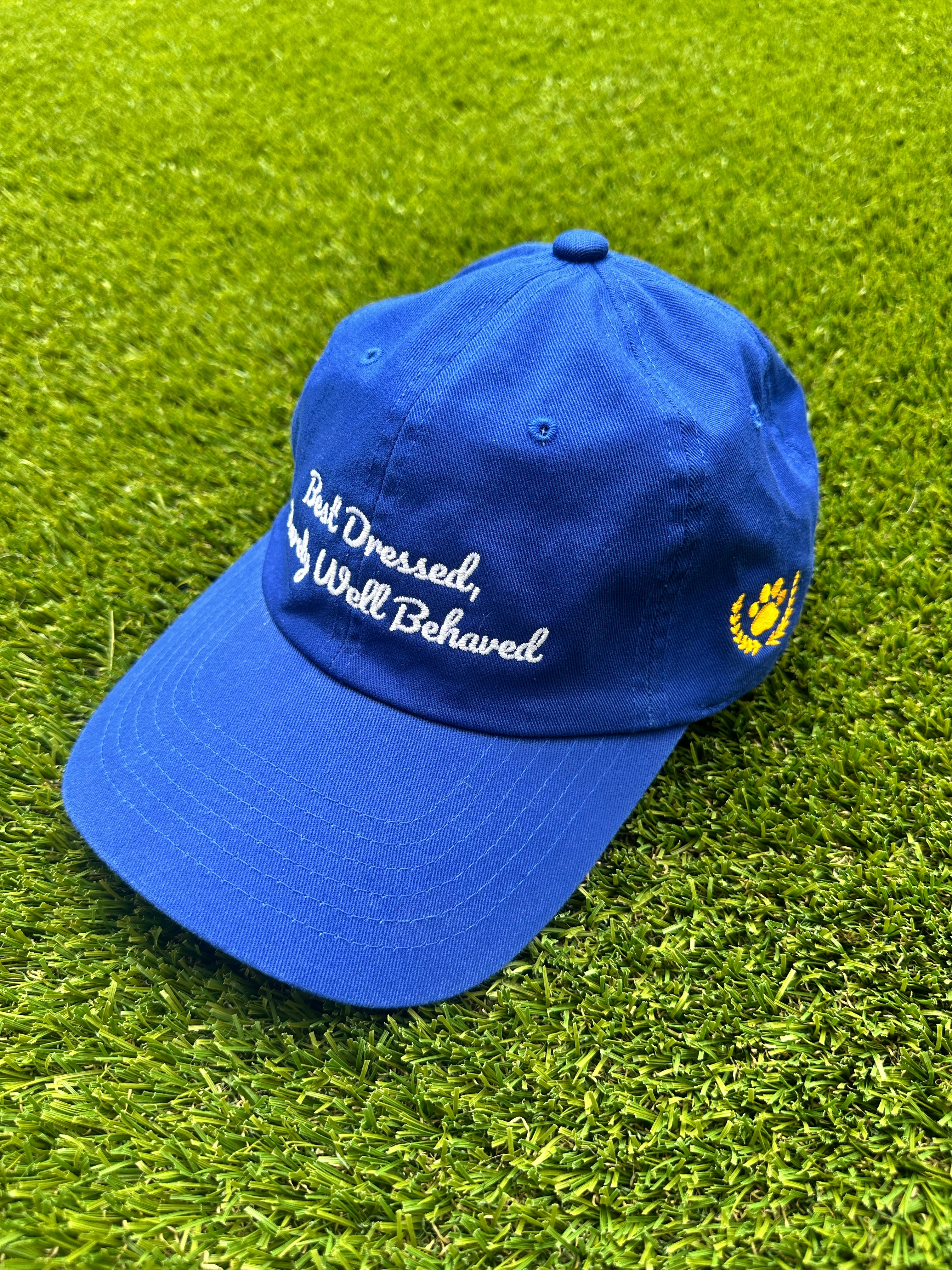 Best Dressed. Rarely Well Behaved Dad Hat