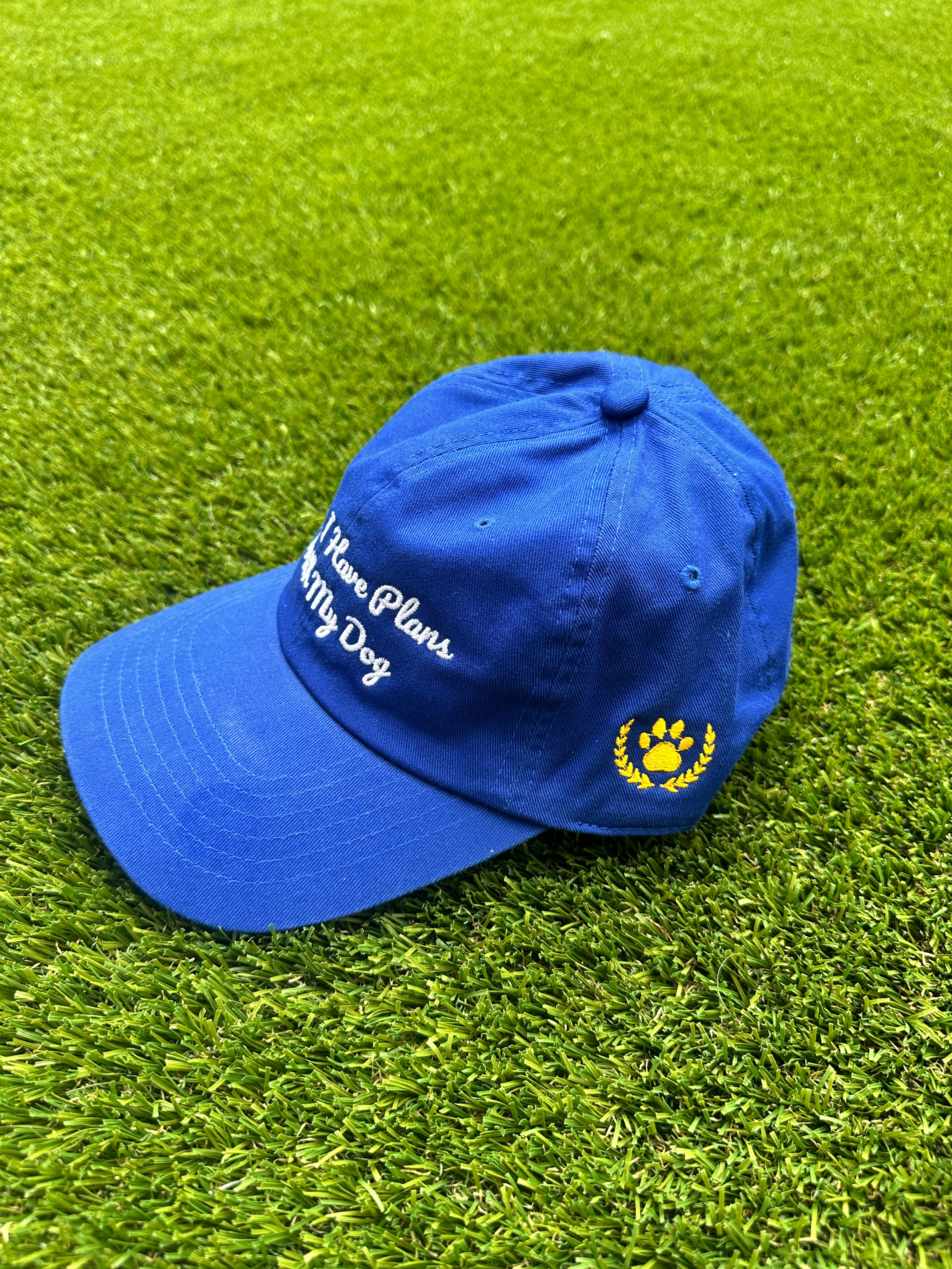 Sorry, I Have Plans With My Dog Dad Hat
