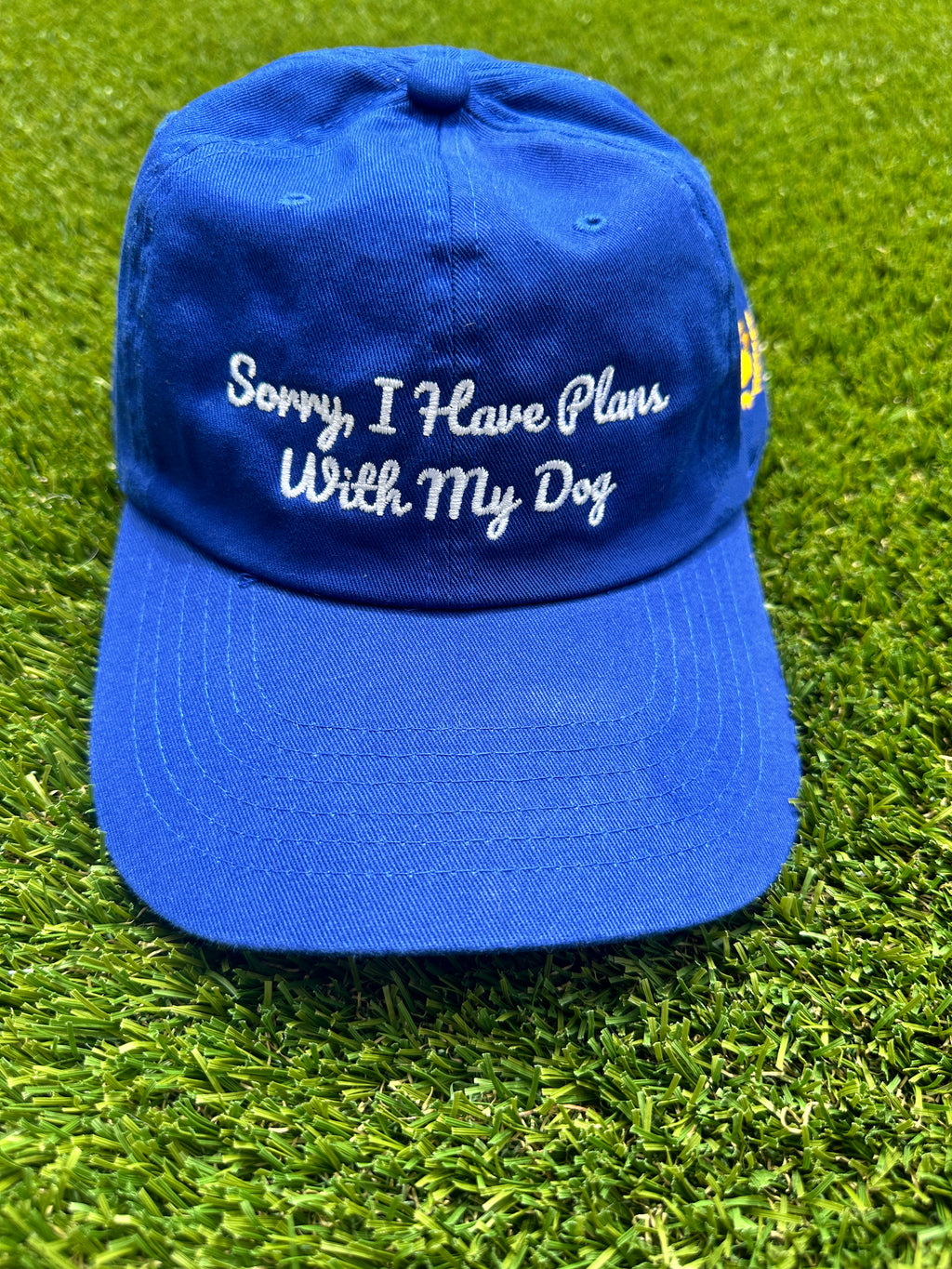 Sorry, I Have Plans With My Dog Dad Hat