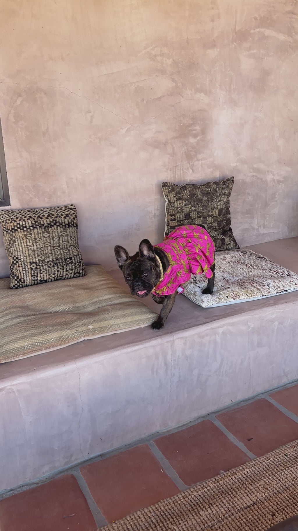 Cha Cha Dress in Pretty In Pink Cheetah Print