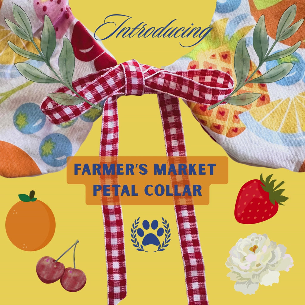 Petal Collar